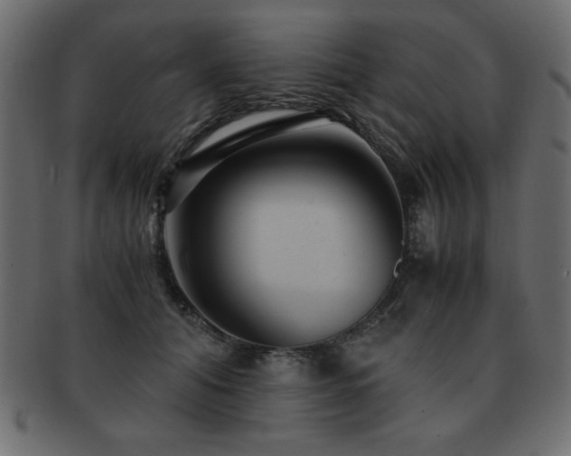 X0000093120608200709261329