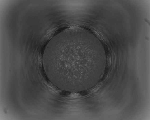 X0000093120609200709261329