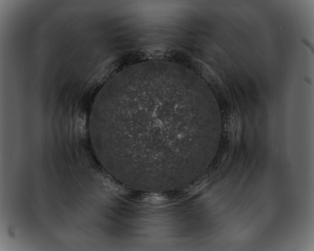 X0000093120610200709261329