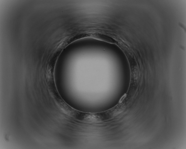 X0000093120611200709261329