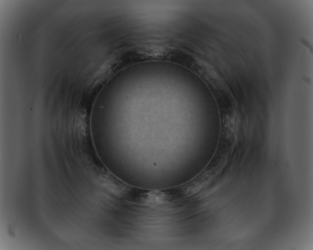 X0000093120612200709261329