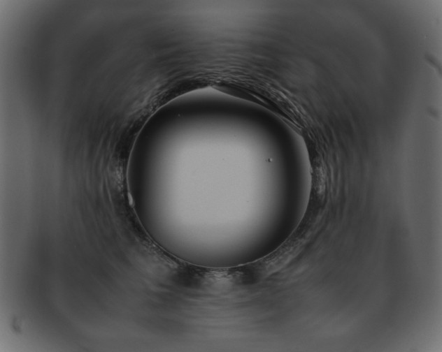 X0000093120613200709261329