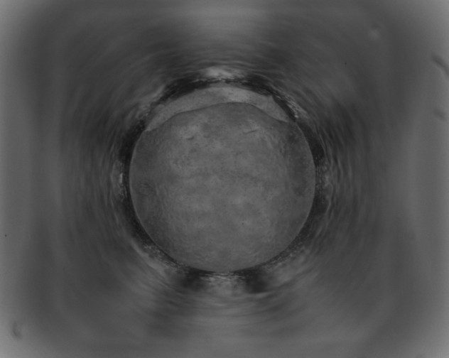 X0000093120615200709261329