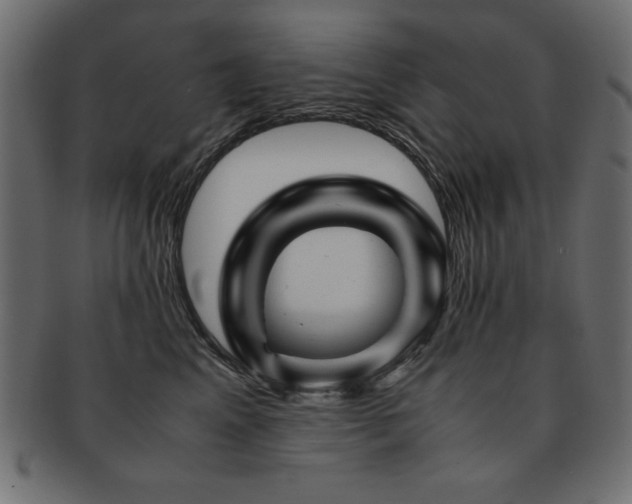 X0000093120617200709261329