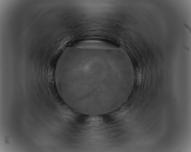 X0000093120619200709261329