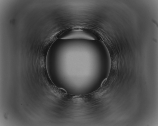 X0000093120620200709261329
