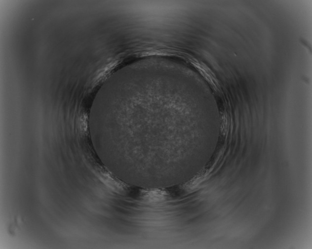 X0000093120621200709261329