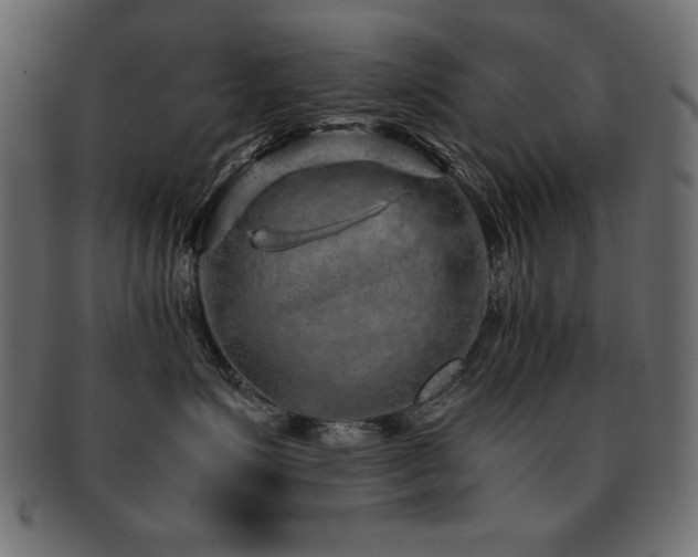 X0000093120623200709261329