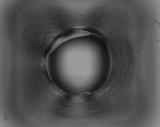 X0000093120624200709261329