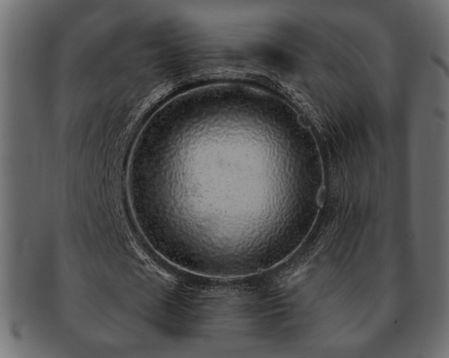 X0000093120625200709261328