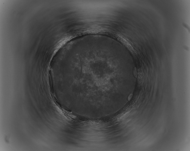 X0000093120626200709261328