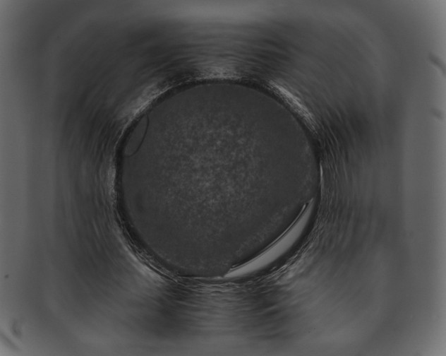 X0000093120627200709261328