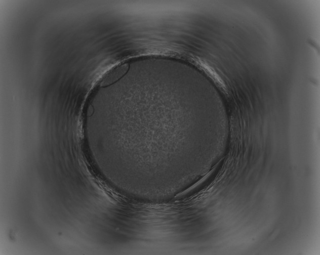 X0000093120628200709261328