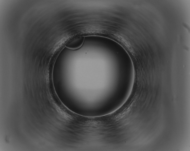 X0000093120629200709261328