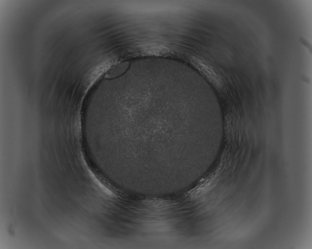 X0000093120630200709261328