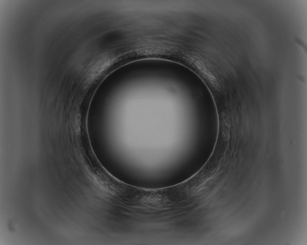 X0000093120631200709261328