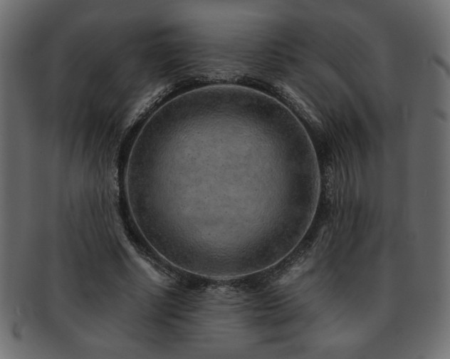 X0000093120634200709261328