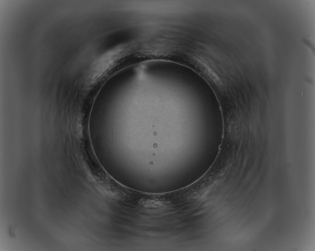 X0000093120635200709261329