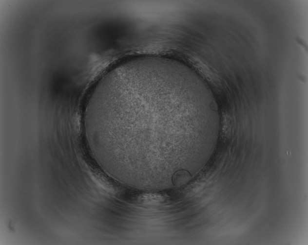 X0000093120636200709261329