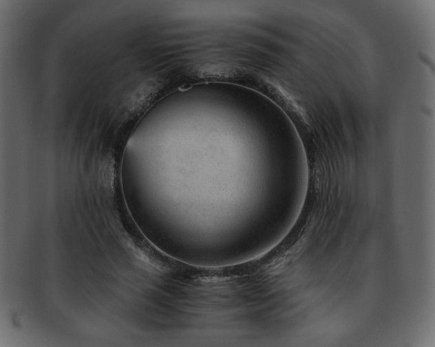 X0000093120637200709261329