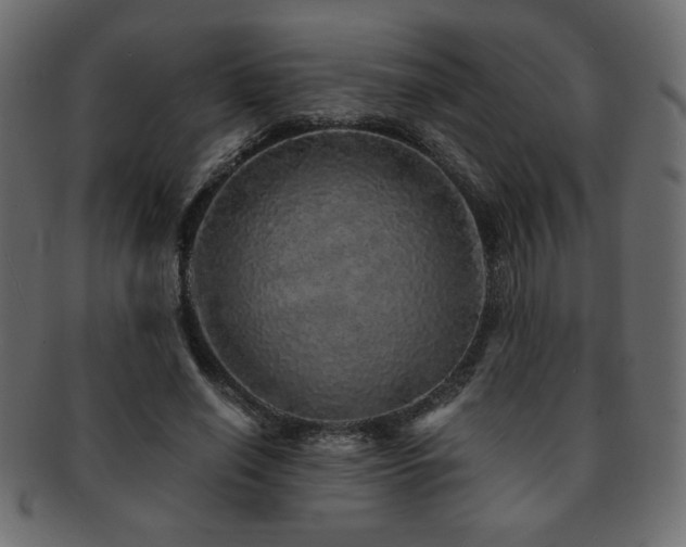 X0000093120638200709261329