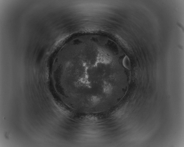 X0000093120640200709261329