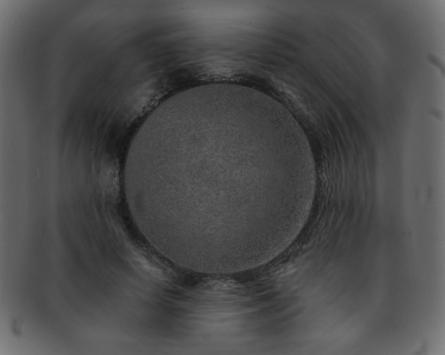 X0000093120642200709261329