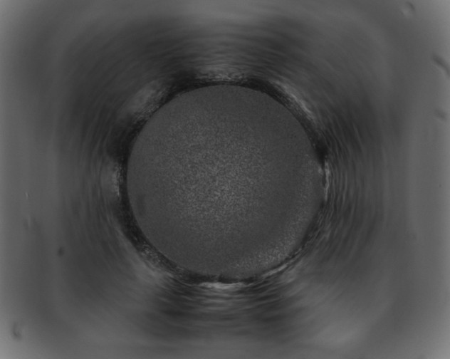 X0000093120643200709261329