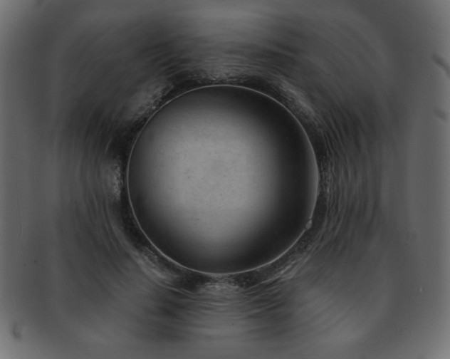 X0000093120644200709261329
