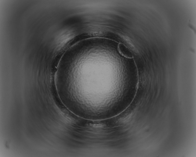 X0000093120645200709261329