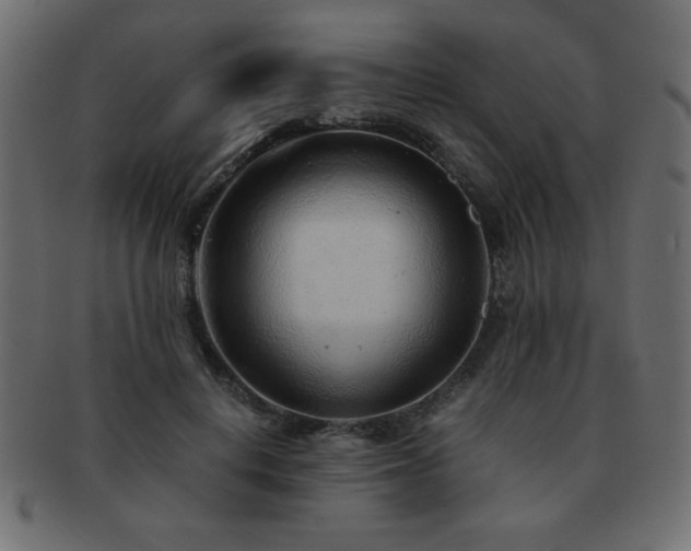 X0000093120648200709261329