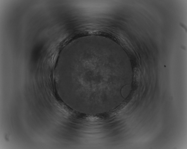 X0000093120650200709261329