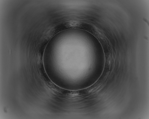 X0000093120651200709261329
