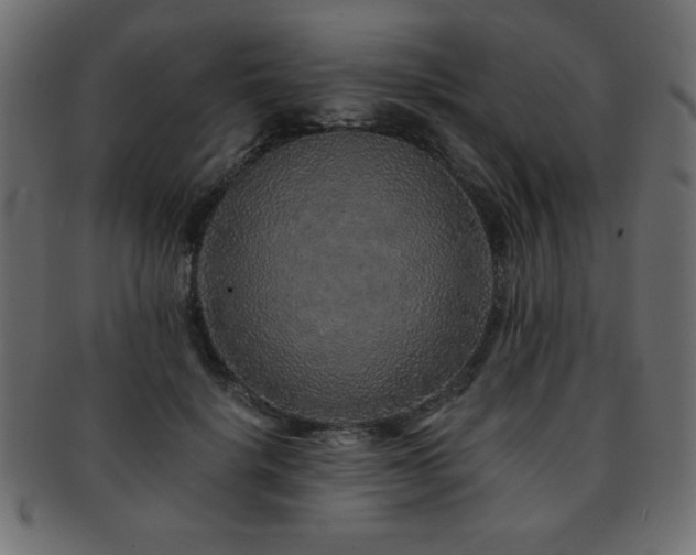 X0000093120652200709261329