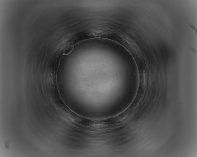X0000093120653200709261329