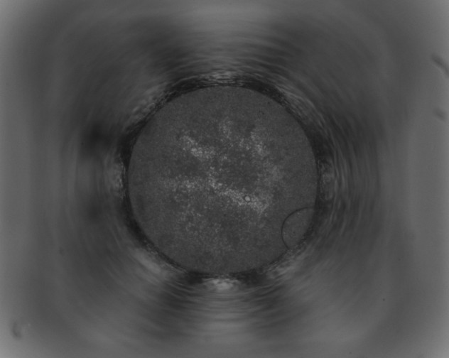 X0000093120654200709261329