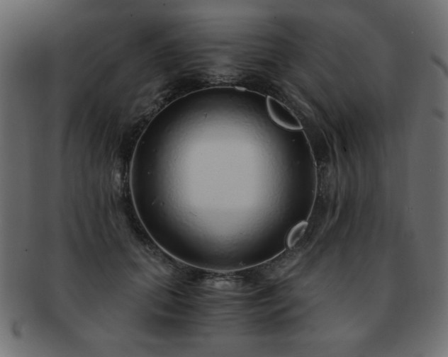 X0000093120655200709261329