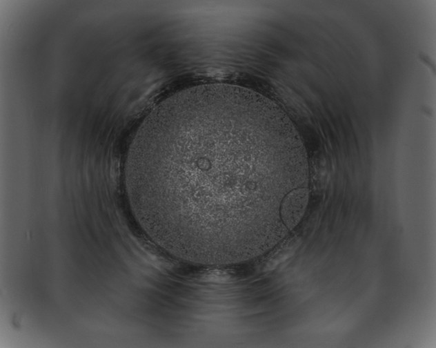 X0000093120656200709261329