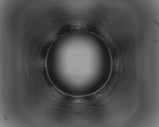 X0000093120657200709261329