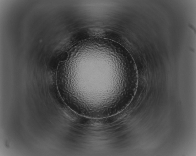 X0000093120658200709261329