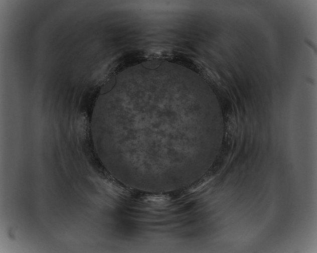 X0000093120659200709261329