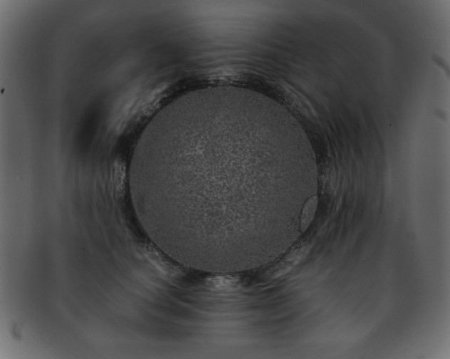 X0000093120660200709261329