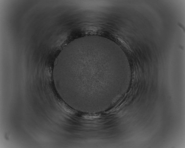 X0000093120661200709261329