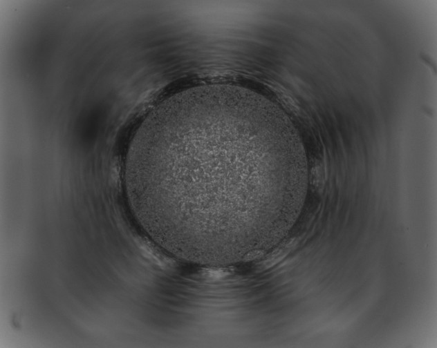 X0000093120662200709261329