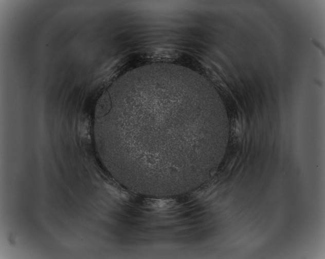 X0000093120663200709261329