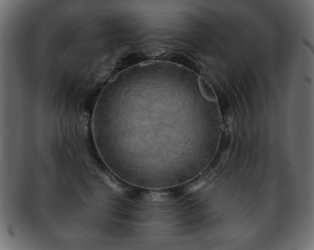X0000093120664200709261329