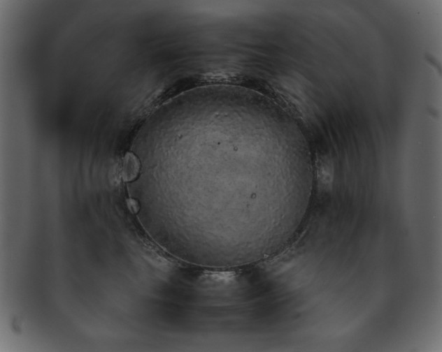 X0000093120665200709261329
