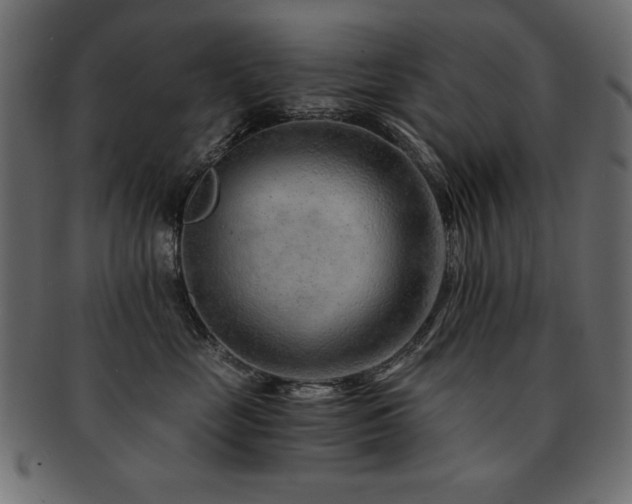 X0000093120669200709261329