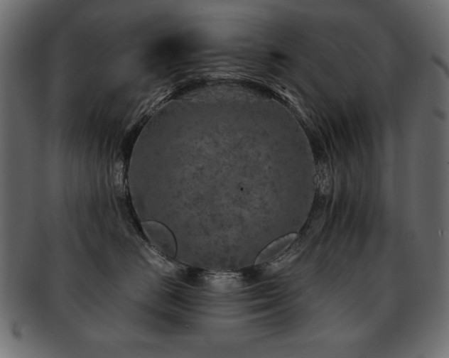 X0000093120670200709261329