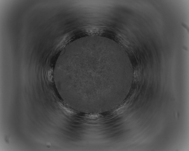X0000093120671200709261329